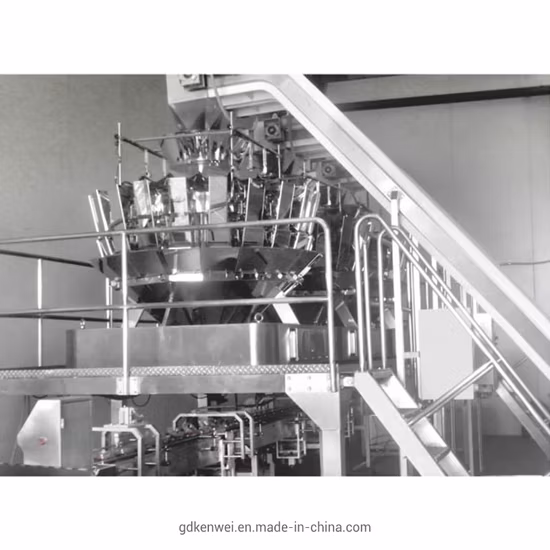 Automatic Food Cartonator Packing/Cardboard Box Making/Taping/Bag Filling and Sealing/Case Sealer/Case Erector/Verticalor Horizontalcartoner/Cartoning Machine