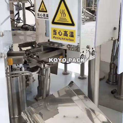 CE Chips Nuts Packing Machine for Premade Pouch/Doypack/Zipper Bag