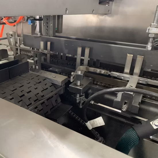 Automatic Pouch Products Box Packing Cartoning
